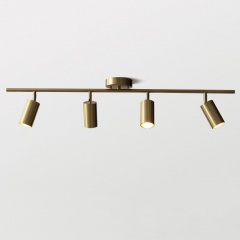 Brass 4-Light Adjustable Ceiling Light