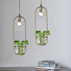Hydroponic Plant Glass Pendant Light Ceiling Lamp Metal Home Modern