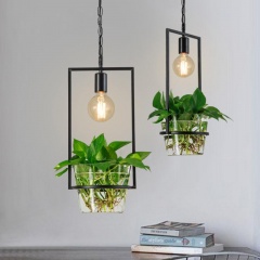 Hanging Plant Box Frame Pendant Light